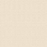 Picture of Tilemaster Grout3000 - Wide Joint Grout - Jasmin