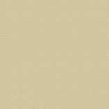 Picture of Tilemaster Grout3000 - Wide Joint Grout - Sandstone