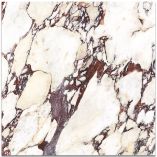 Picture of Calacatta Viola Nouveaux  Matte Marble Effect Porcelain Tiles