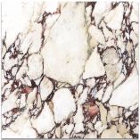 Picture of Calacatta Viola Nouveaux  Matte Marble Effect Porcelain Tiles