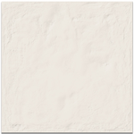 Picture of Terracotta White Tiles